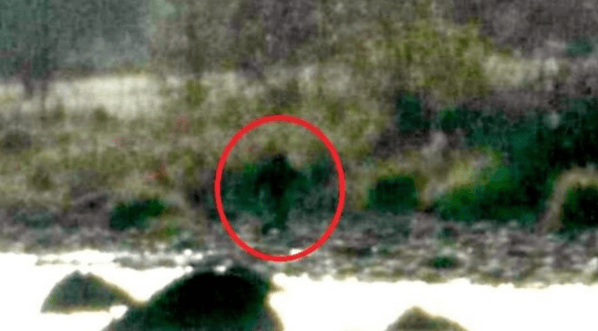 Screen Shot 2018-06-22 at 2.09.47 PM.png