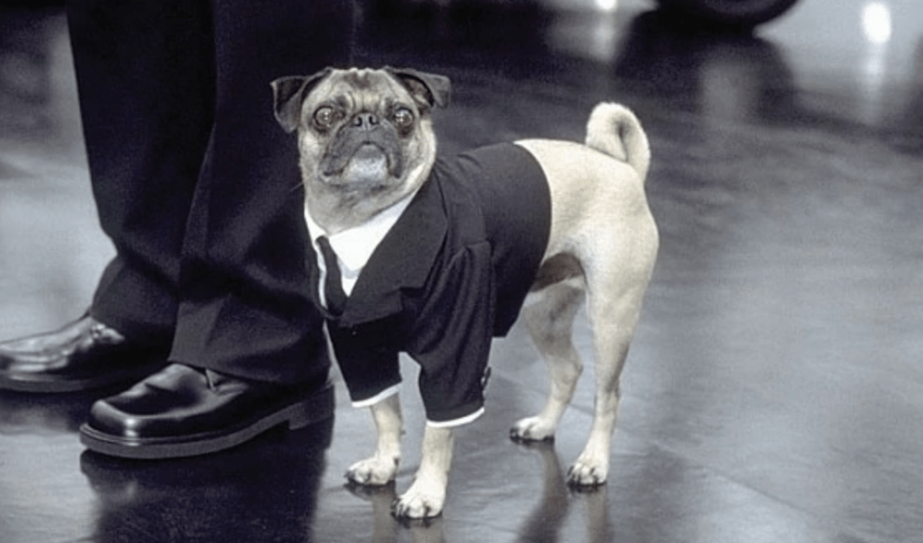 Screen Shot 2018-09-21 at 10.54.04 AM.png