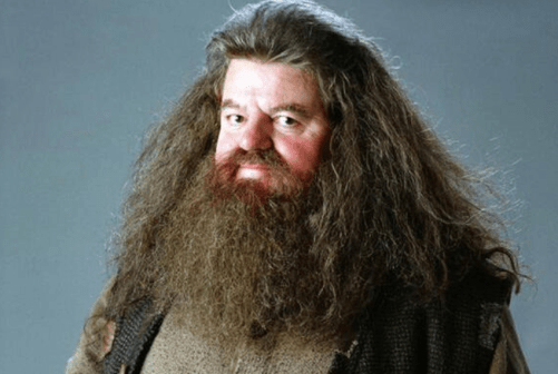 Screen Shot 2018-10-04 at 3.19.21 PM.png