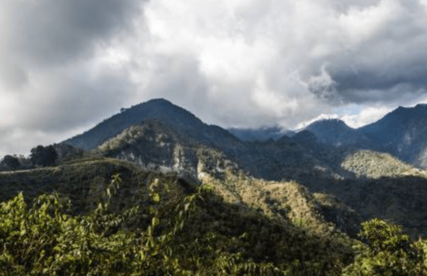 Screen Shot 2018-12-17 at 11.06.34 AM.png