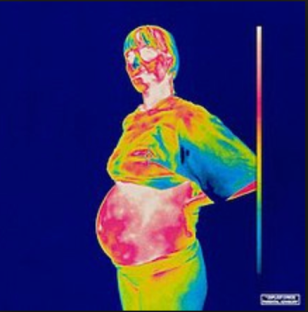 Screen Shot 2018-12-31 at 9.32.31 AM.png