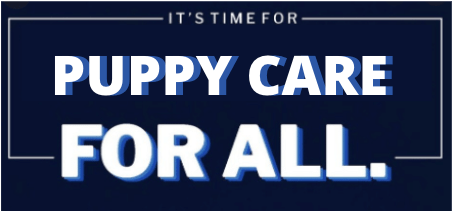 Screen Shot 2020-04-08 at 10.43.08 PM.png