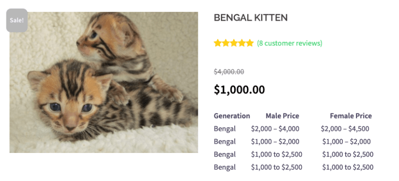 Screen Shot 2020-04-15 at 7.17.08 PM.png